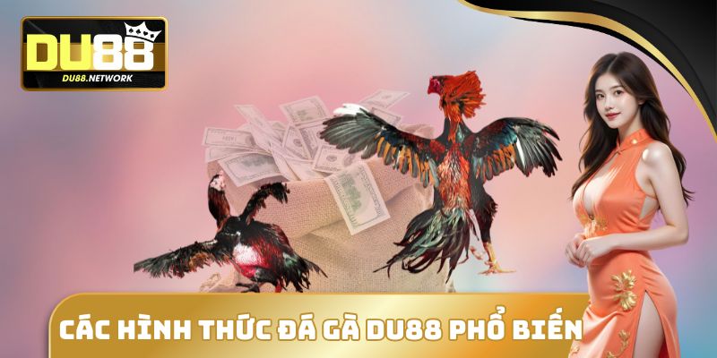 Đá Gà DU88 - Thể Thao Máu Lửa Thu Hút Đông Đảo Hội Viên 2 Các hình thức đá gà DU88 phổ biến